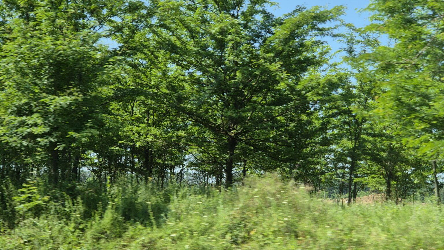 Primul val de caniculă al verii lovește România: Temperaturi de până la 33°C între 2 și 8 iunie, nu dispar furtunile Primul val de caniculă al verii lovește România: Temperaturi de până la 33°C între 2 și 8 iunie, nu dispar furtunile