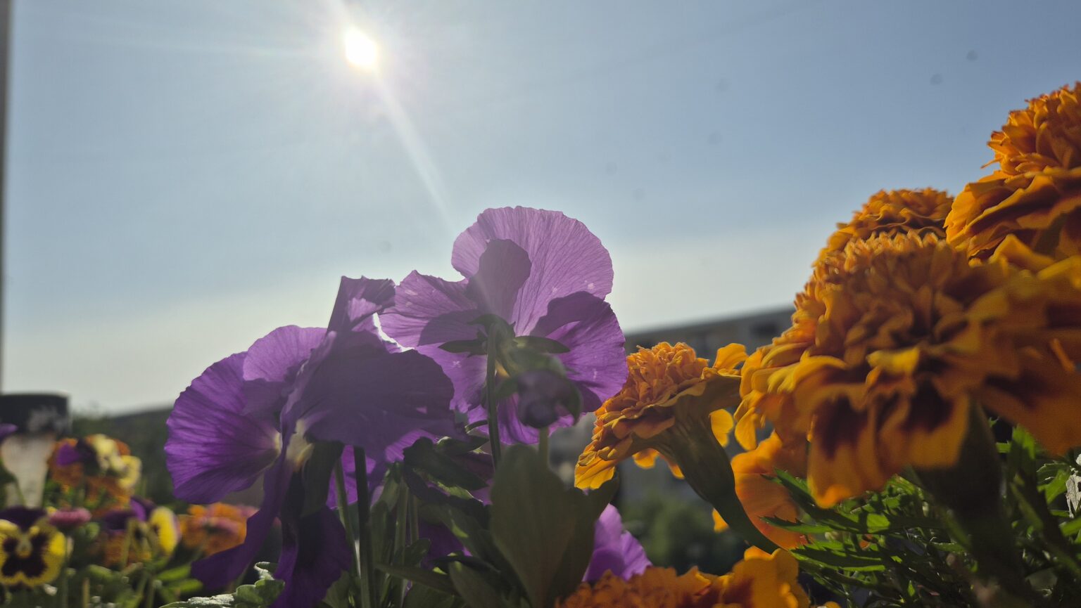 Prognoza meteo pentru județul Dâmbovița,  sâmbătă, 7 iunie 2025