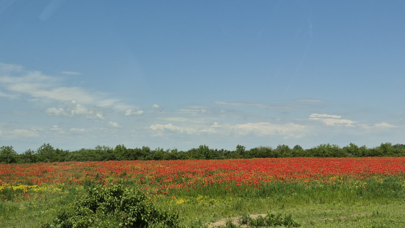 Prognoza meteo pentru 3 iunie 2025: Zi foarte  călduroasă dar nu scăpăm de averse și descărcări electrice 