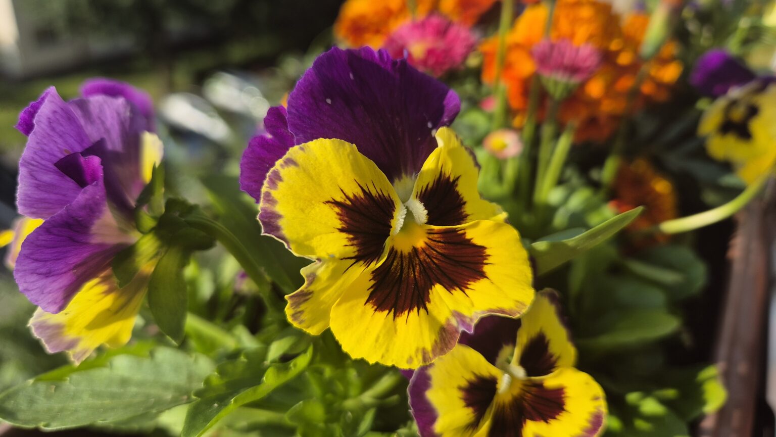 Prognoza meteo, astăzi vom avea soare dar după-amiază un front atmosferic rece traversează țara, revin furtunile 