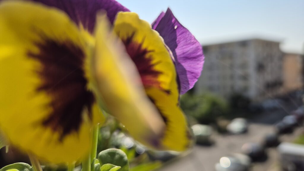 Prognoza meteo pentru  astăzi,  15 iunie