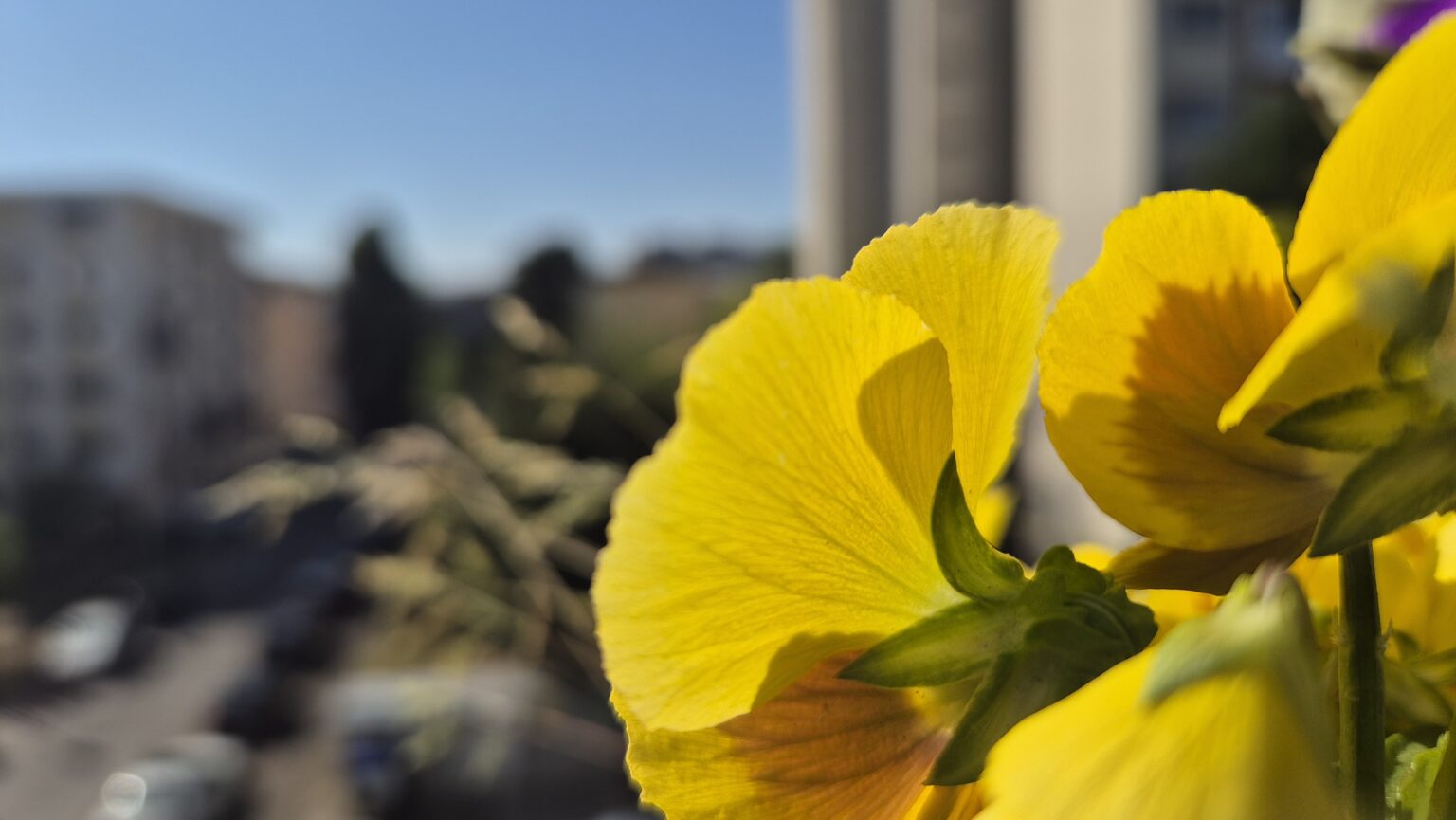 Prognoza meteo, astăzi,  29 iunie 2025