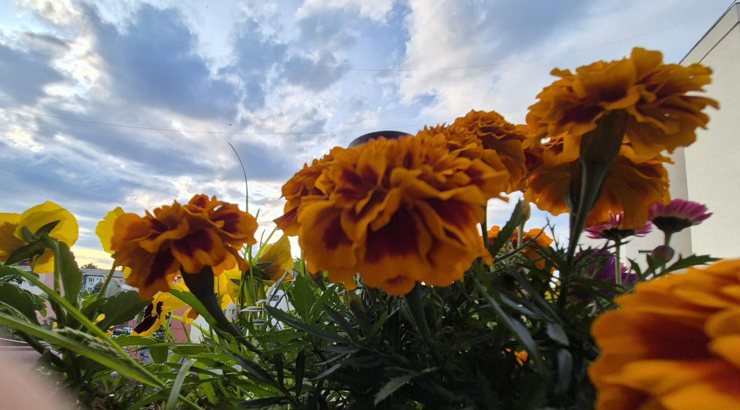 Prognoza meteo de 1 iunie: Soare, cer variabil și averse locale slabe