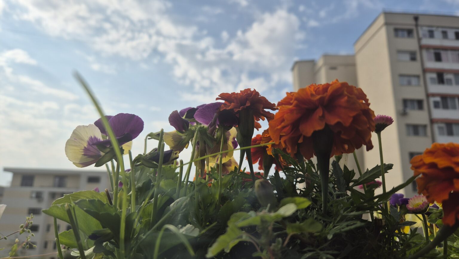 Vremea în județul Dâmbovița, 20 iunie 2025: Zi parțial noroasă cu temperaturi plăcute Vremea în județul Dâmbovița, 20 iunie 2025: Zi parțial noroasă cu temperaturi plăcute