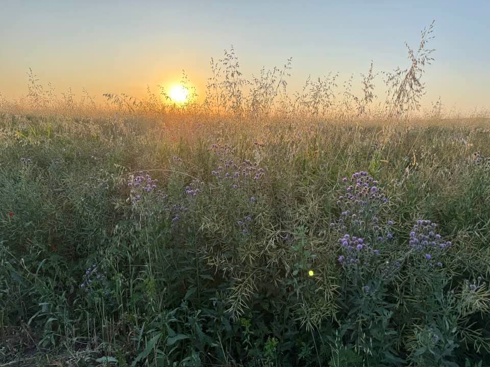 Zi caniculară în Dâmbovița