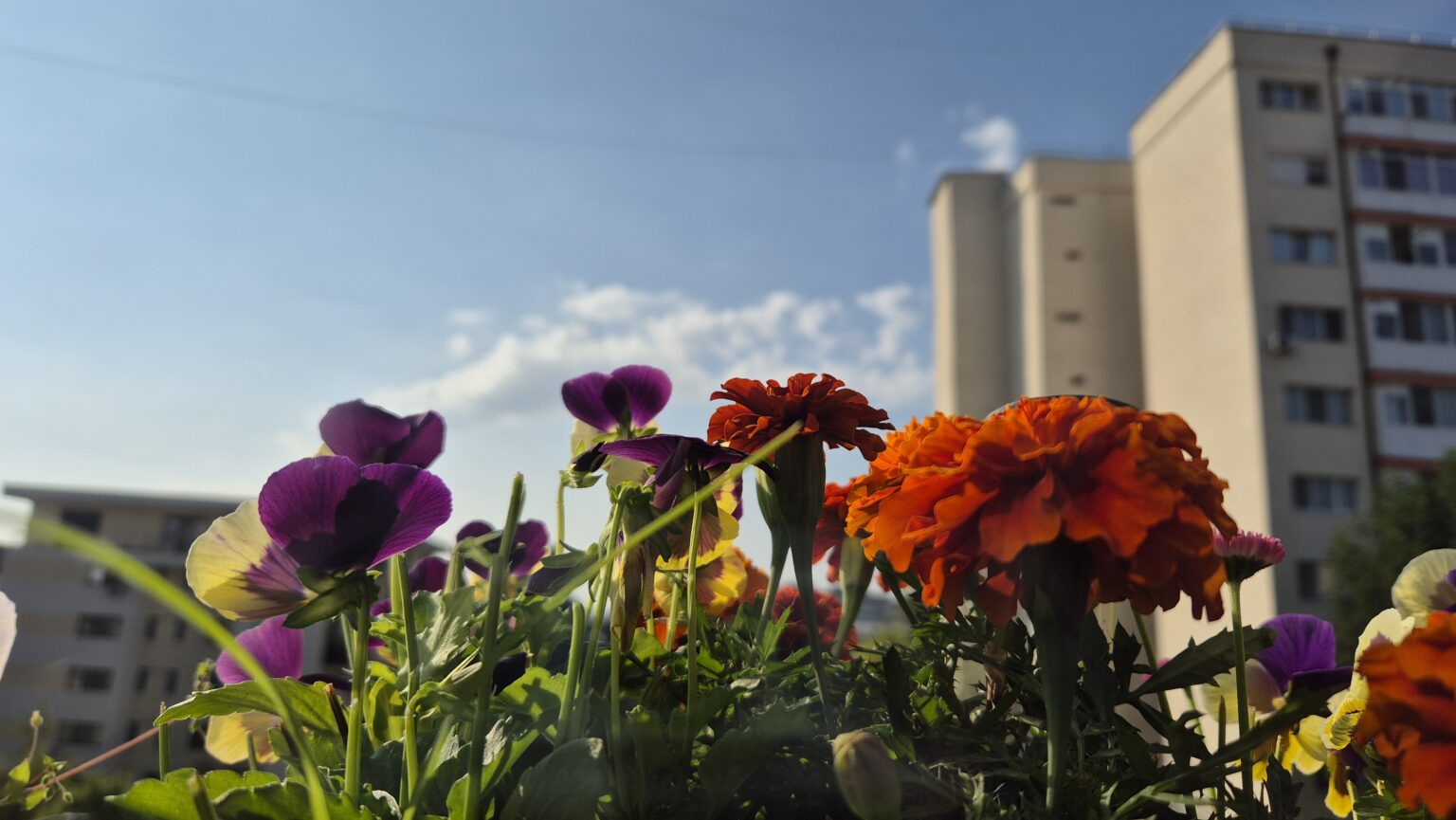 Zi fierbinte în Dâmbovița, COD GALBEN de CANICULĂ,  temperaturi de până la 32°C