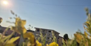 COD GALBEN DE CANICULĂ ȘI DISCONFORT TERMIC ÎN DÂMBOVIȚA