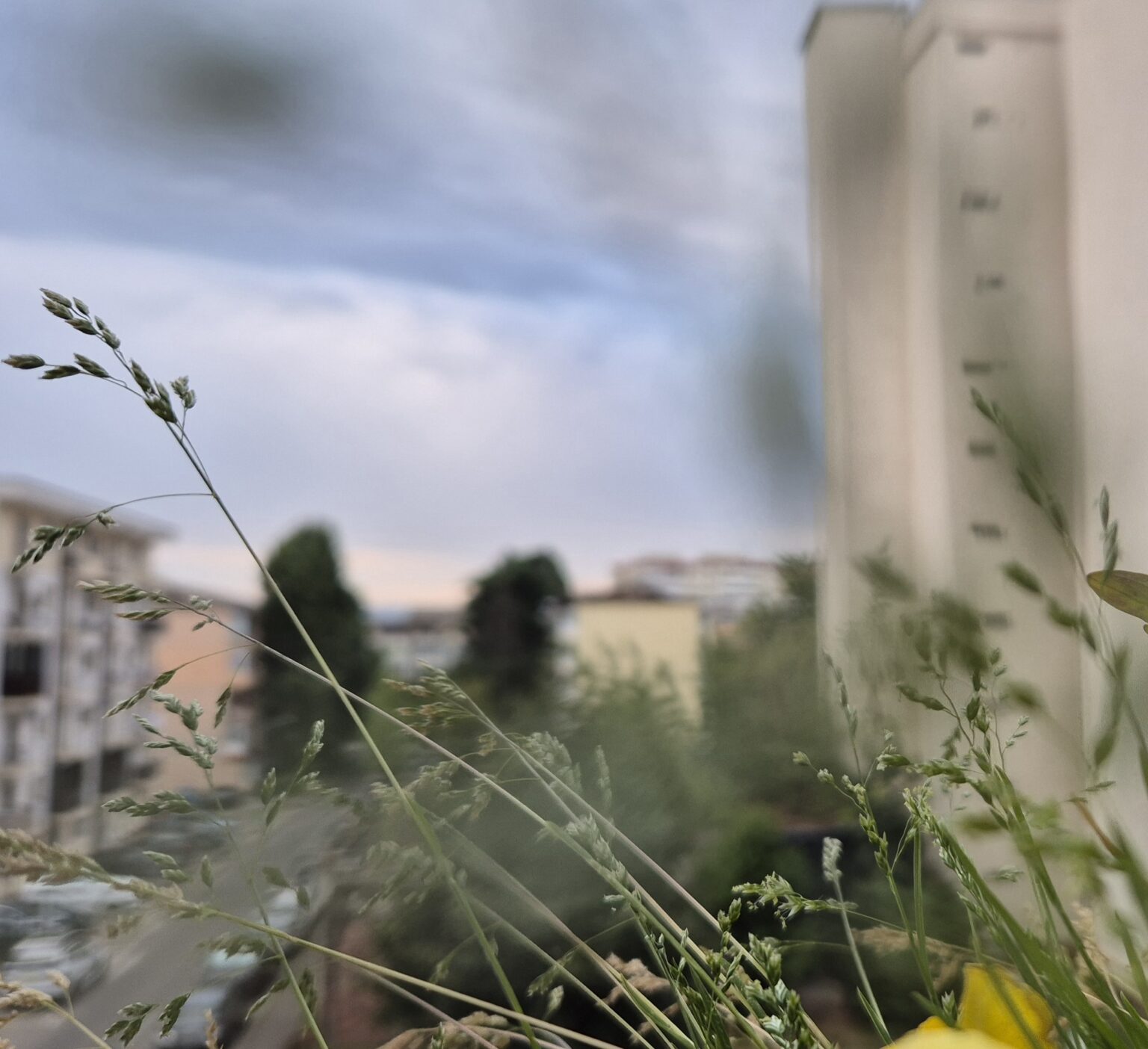 COD GALBEN de caniculă în Dâmbovița:Temperaturi de până la 37°C și disconfort termic accentuat dar și furtuni 