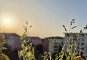 COD ROȘU de caniculă în Dâmbovița și astăzi: Temperaturile urcă până la 40°C, risc de  incendii iar după-amiaza posibil furtuni violente 