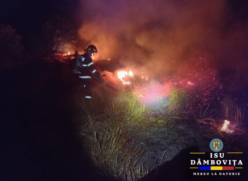 Prăpăd la Gheboieni: Incendiu de vegetație pe 4.000 mp, pompierii s-au luptat  cu flăcările