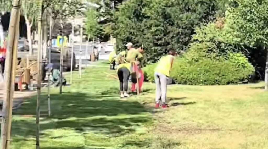 Un nou suflu verde pentru Târgoviște: Zona Parcului de lângă Catedrala Mitropolitană intră în reamenajare