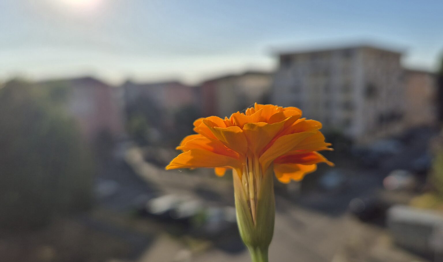 VREMEA ASTĂZI ÎN DÂMBOVIȚA ,  4 IULIE 2025-COD PORTOCALIU de CANICULĂ