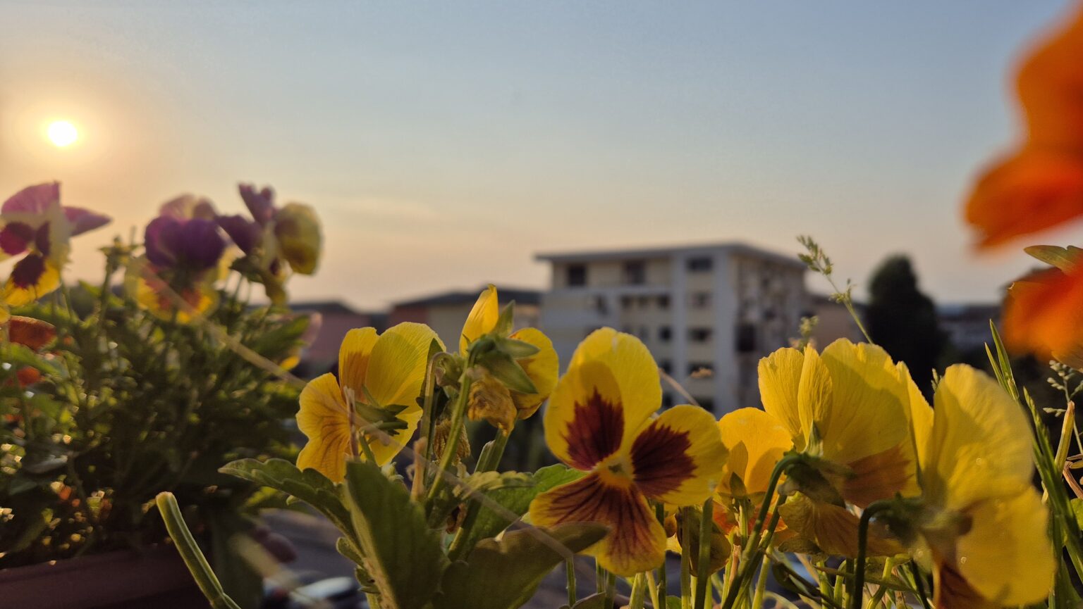 Și astăzi,  județul Dâmbovița este sub COD ROȘU de caniculă