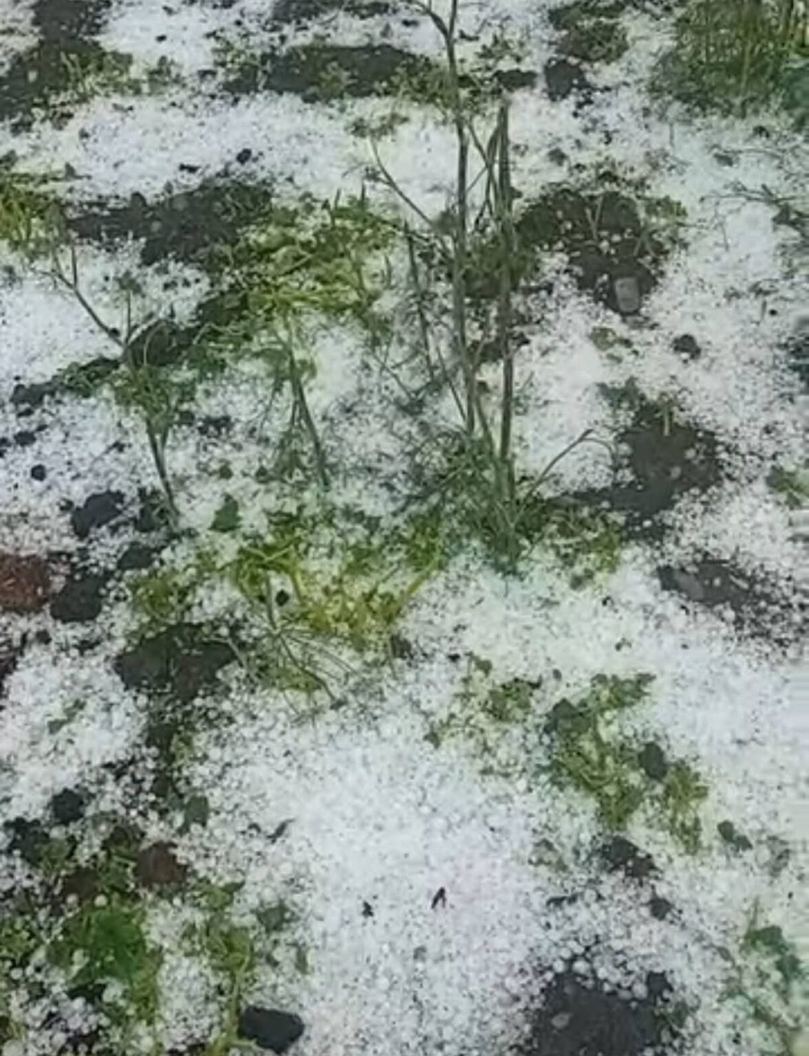 De la 40°C la furtună în 10 minute: Grindină, vijelie și ploi torențiale