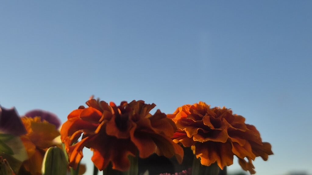 Prognoza meteo pentru astăzi: Atenție, Dâmbovița, canicula revine în forță