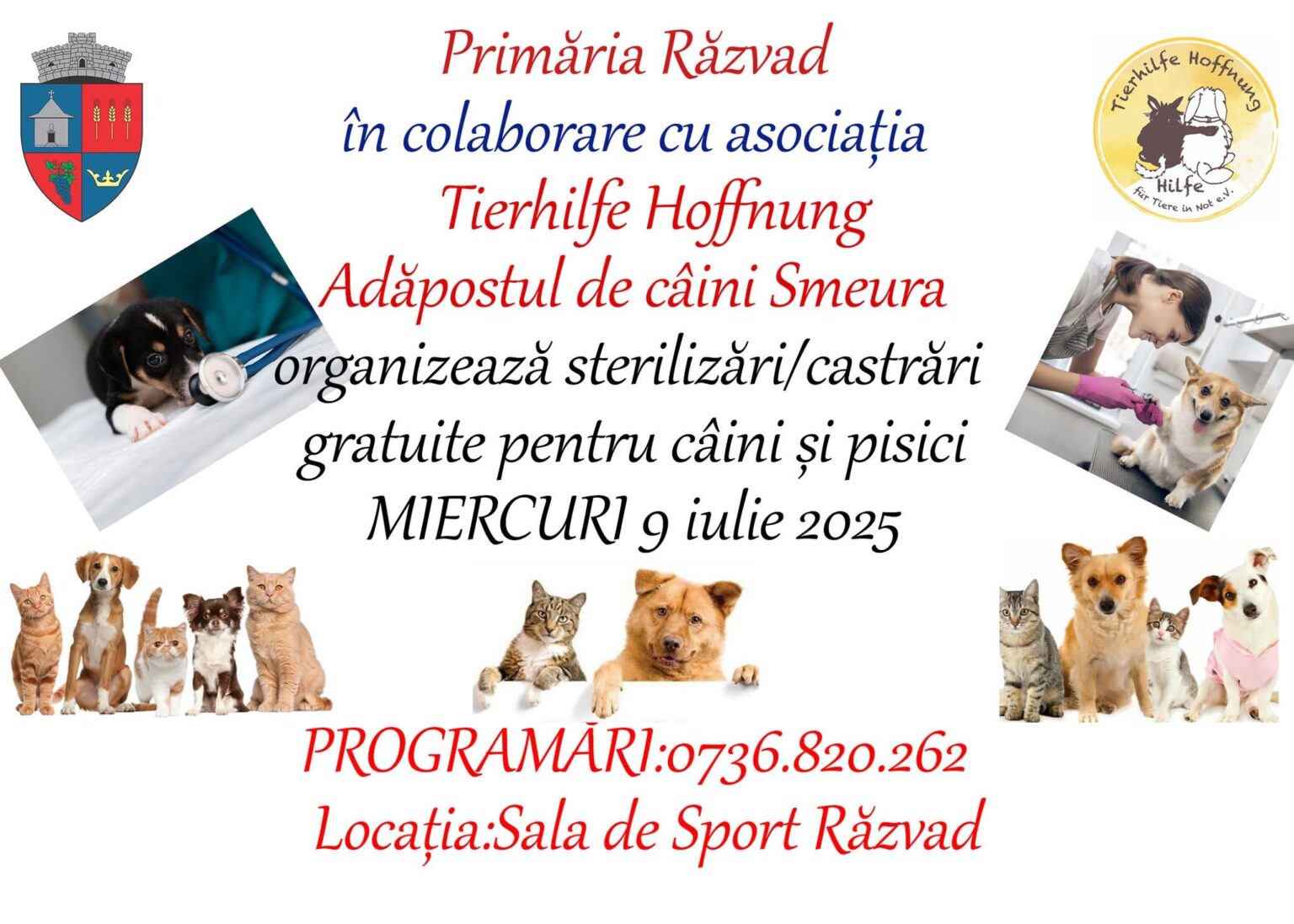 Primăria comunei Răzvad, în parteneriat cu Asociația Tierhilfe Hoffnung – Adăpostul de câini Smeura, organizează miercuri, 9 iulie 2025, o campanie de sterilizări gratuite pentru câini și pisici