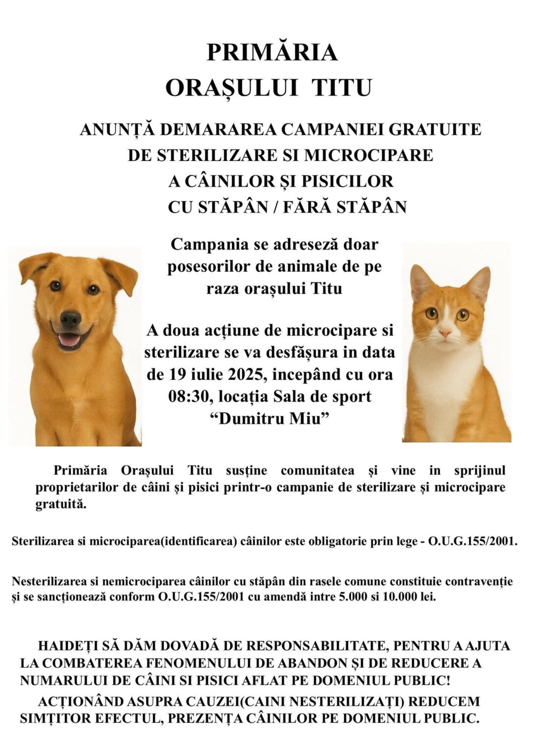 Primăria Titu acționează responsabil: Campanie GRATUITĂ de sterilizare și microcipare pentru câini și pisici
