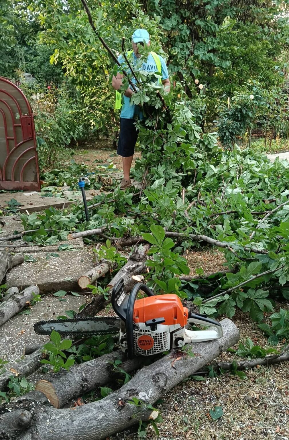 Vijelie puternică la Târgoviște, după o zi caniculară: Intervenție rapidă a autorităților locale