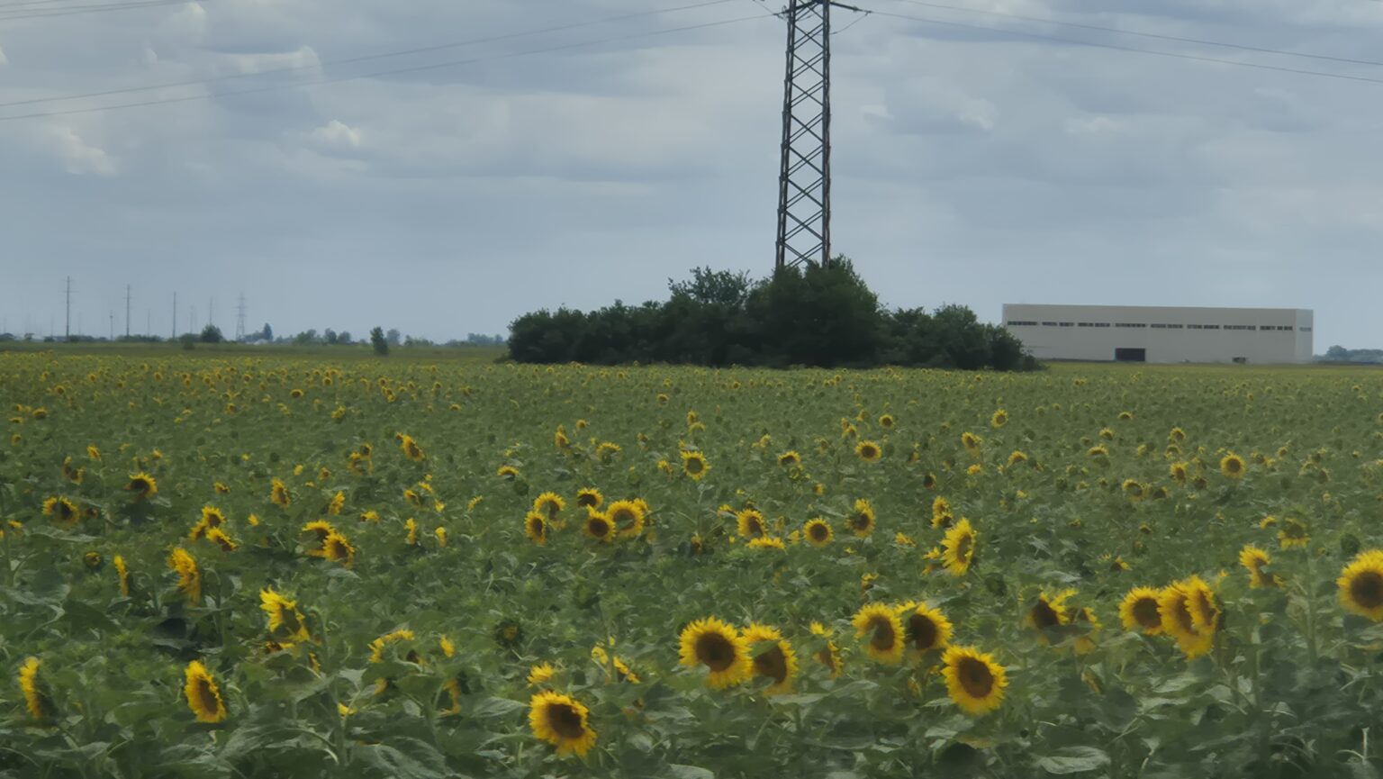 Vremea extrem de caldă continuă la început de iulie 2025