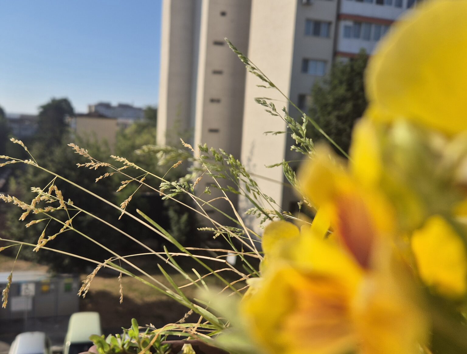 Vreme caldă până la prânz și după-amiaza furtuni în Dâmbovița, mare atenție Vreme caldă până la prânz și după-amiaza furtuni în Dâmbovița, mare atenție