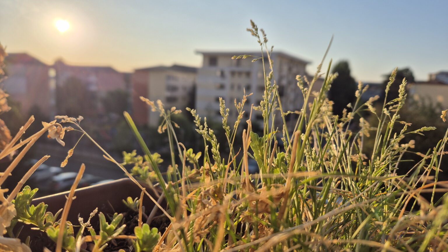 ANM: Astăzi  soare, de mâine, vijelii, grindină și răcire bruscă a vremii în toată țara , 22–23 august