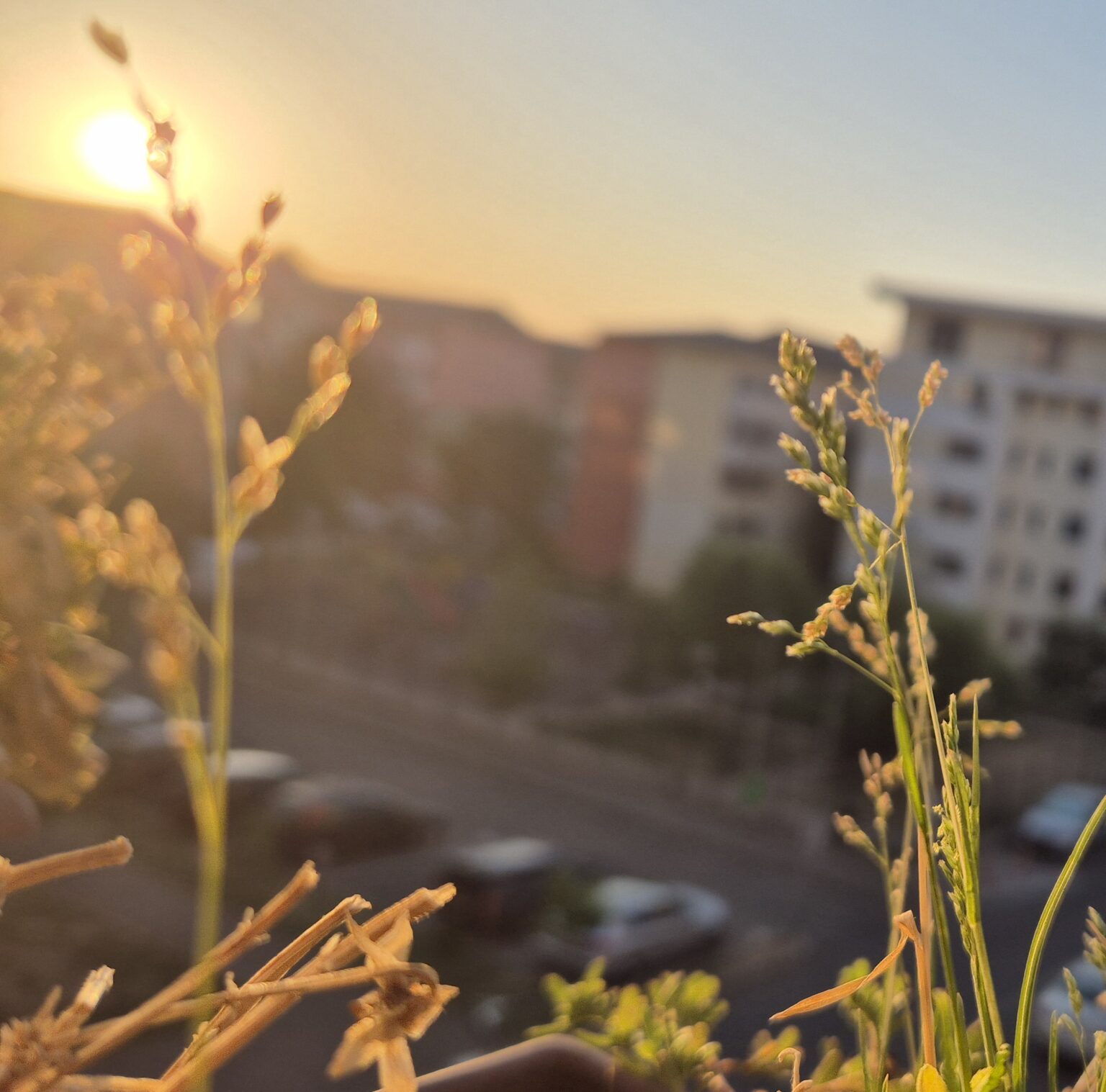 COD GALBEN de CANICULĂ în Dâmbovița , temperaturi de până la 37°C COD GALBEN de CANICULĂ în Dâmbovița , temperaturi de până la 37°C