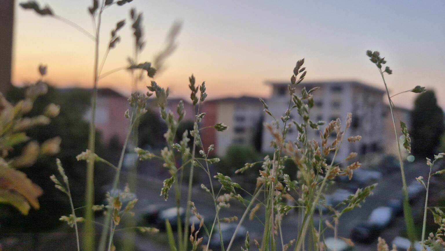 Coduri meteo de caniculă și vijelii pentru 11 august, avertizare ANM Coduri meteo de caniculă și vijelii pentru 11 august, avertizare ANM