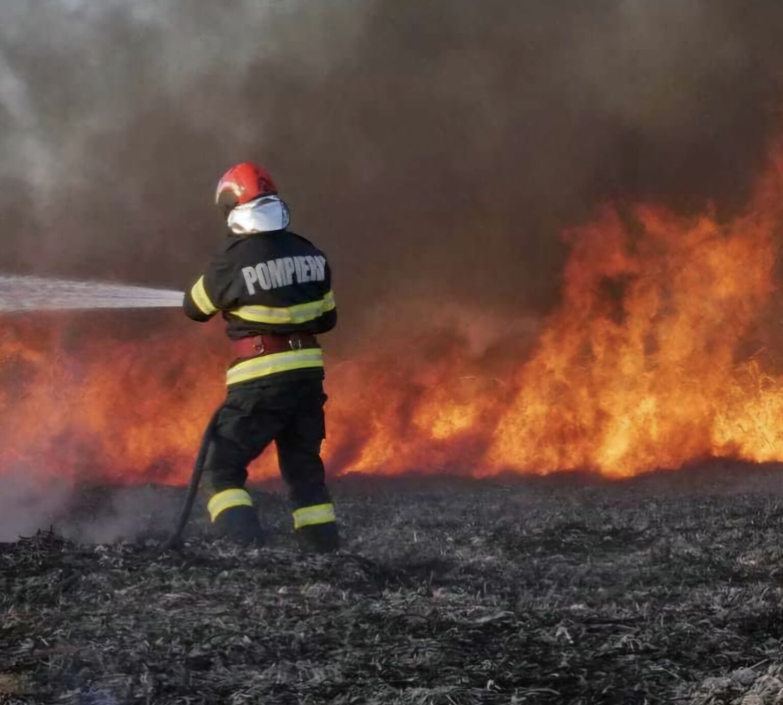 La un pas de a mistui casele: Incendiu de vegetație uscată în satul Livezile, comuna Valea Mare