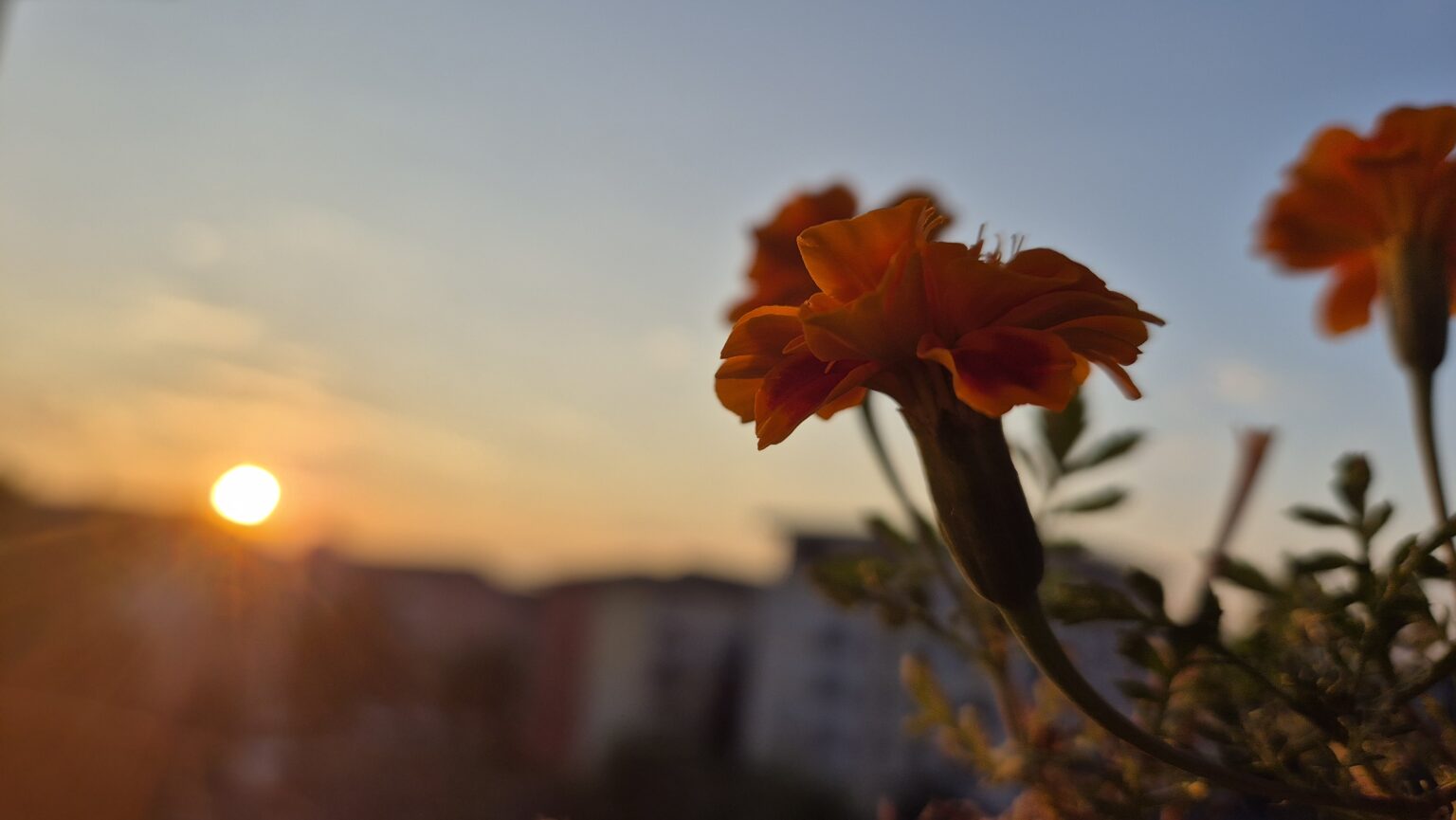 Vremea de azi în județul Dâmbovița