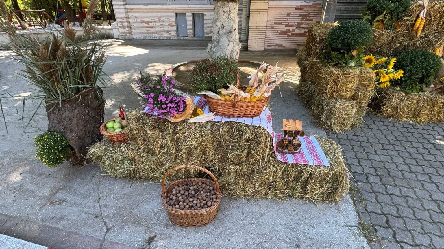 Astăzi începe Sărbătoarea Toamnei la Găești 