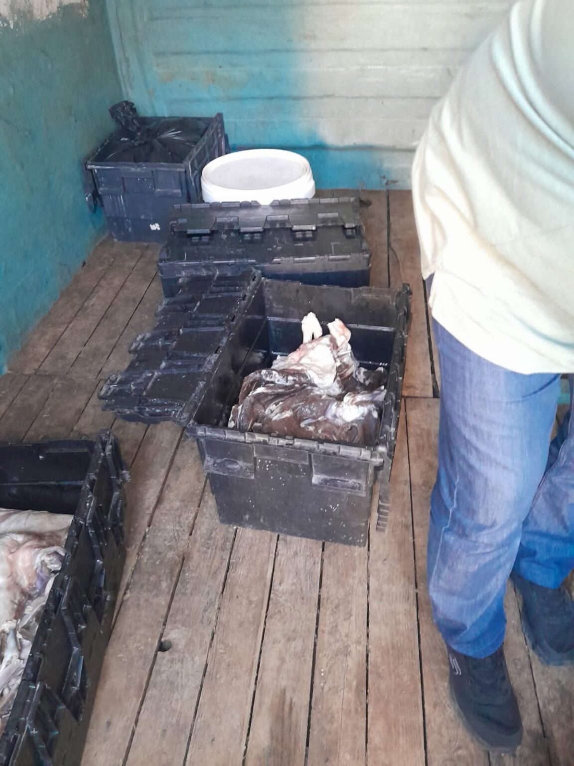 DSVSA Dâmbovița: 200 kg de pastramă confiscată la Titu din cauza condițiilor insalubre DSVSA Dâmbovița: 200 kg de pastramă confiscată la Titu din cauza condițiilor insalubre