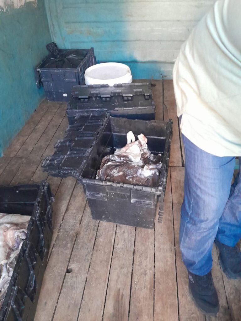 DSVSA Dâmbovița: 200 kg de pastramă confiscată la Titu din cauza condițiilor insalubre