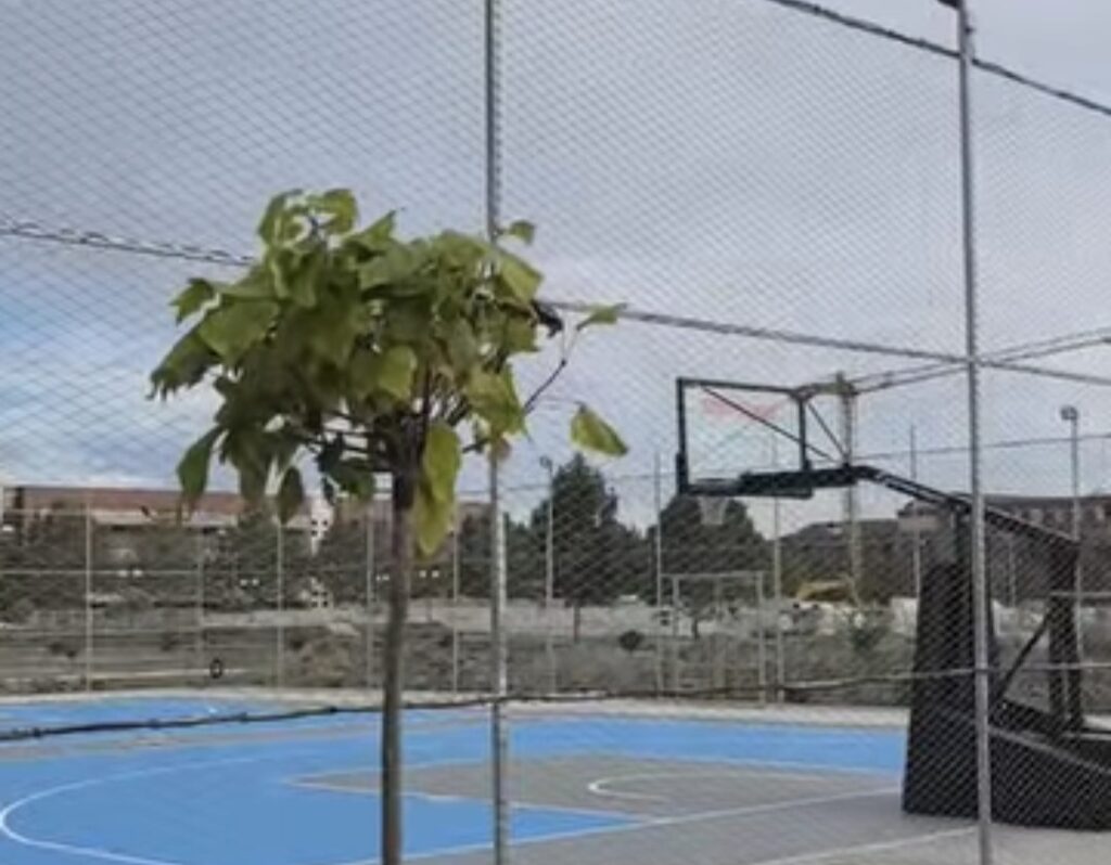 Primăria Târgoviște: Baza sportivă de la Universitatea „Valahia” se apropie de inaugurare, facilități moderne pentru studenți și comunitate