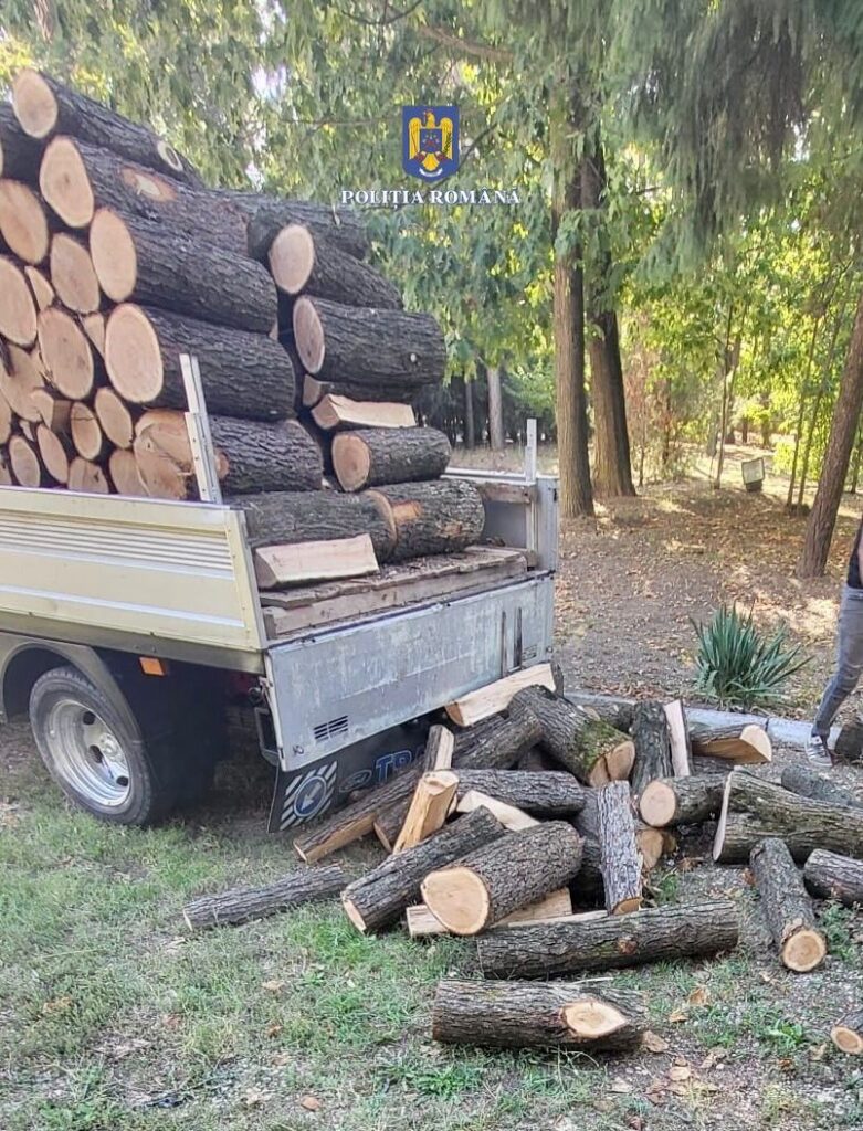 Transport ilegal de lemne, depistat de polițiștii din Titu