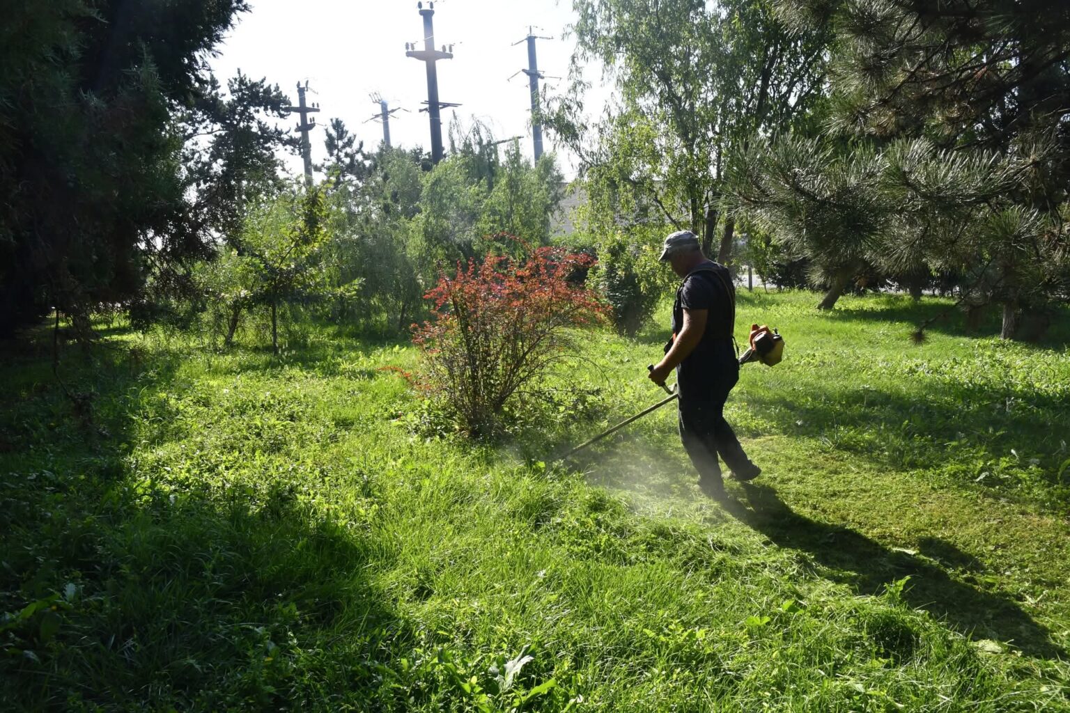 Lucrări de întreținere în parcurile din Răcari – Ghergani 