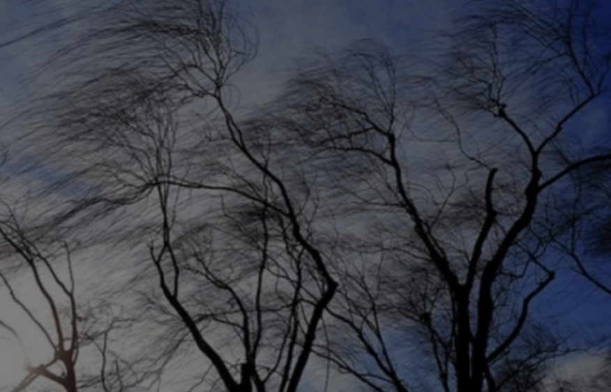 Cod Galben de vânt în județul Dâmbovița – meteorologii avertizează asupra rafalelor puternice Cod Galben de vânt în județul Dâmbovița – meteorologii avertizează asupra rafalelor puternice