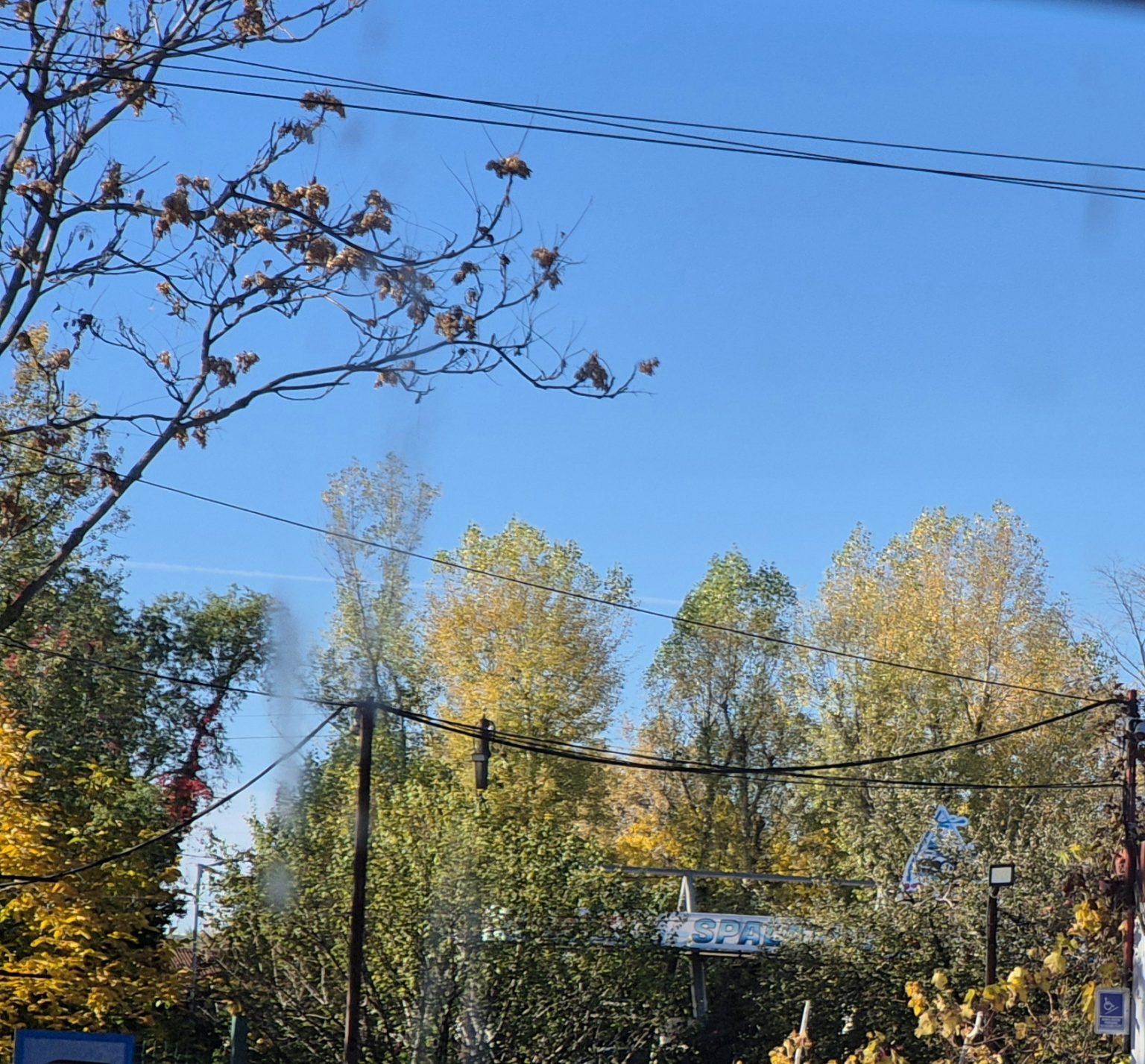 Mare atenție la șocurile termice! Vremea este înșelătoare, la prânz soare dar dimineți și seri geroase Mare atenție la șocurile termice! Vremea este înșelătoare, la prânz soare dar dimineți și seri geroase