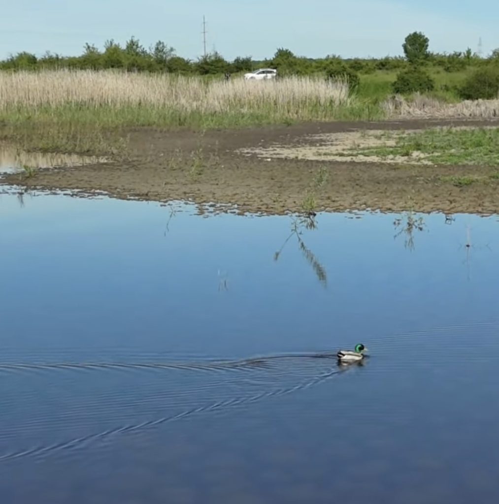 Primăria Târgoviște va implementa un nou proiect de regenerare urbană: Lacul Priseaca va fi reamenajat