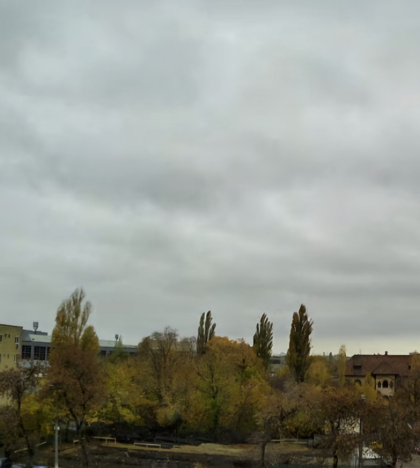 Șocuri termice: De la  ger dimineața la “primăvară la prânz” Șocuri termice: De la  ger dimineața la “primăvară la prânz”