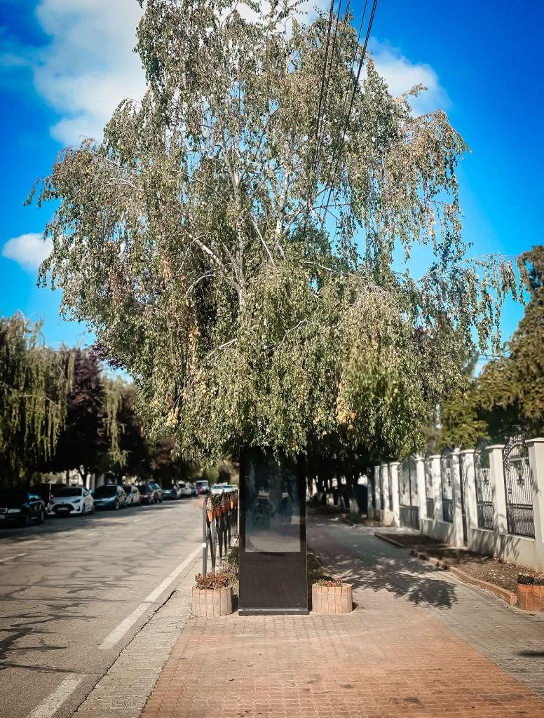 Titu continuă digitalizarea – tehnologia transformă orașul pas cu pas!