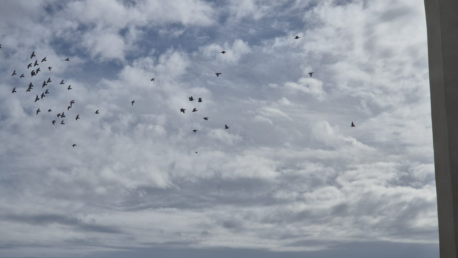 Toamna și-a intrat deplin în drepturi: Ploi și răcoare în Dâmbovița