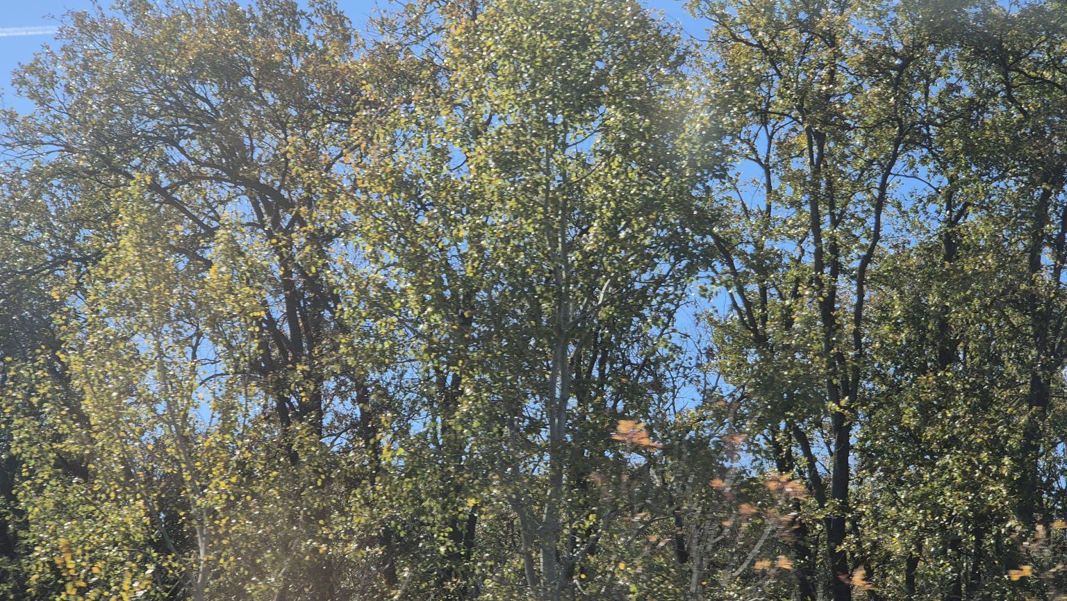 Vreme de toamnă cu iz de primăvară la prânz  și iz de iarnă noaptea și dimineața  în județul Dâmbovița Vreme de toamnă cu iz de primăvară la prânz  și iz de iarnă noaptea și dimineața  în județul Dâmbovița