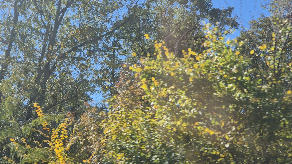 Vreme de toamnă cu iz de primăvară la prânz  și iz de iarnă noaptea și dimineața  în județul Dâmbovița