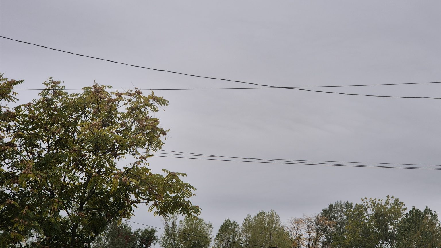 Vremea în județul Dâmbovița, 16 octombrie 2025 Vremea în județul Dâmbovița, 16 octombrie 2025