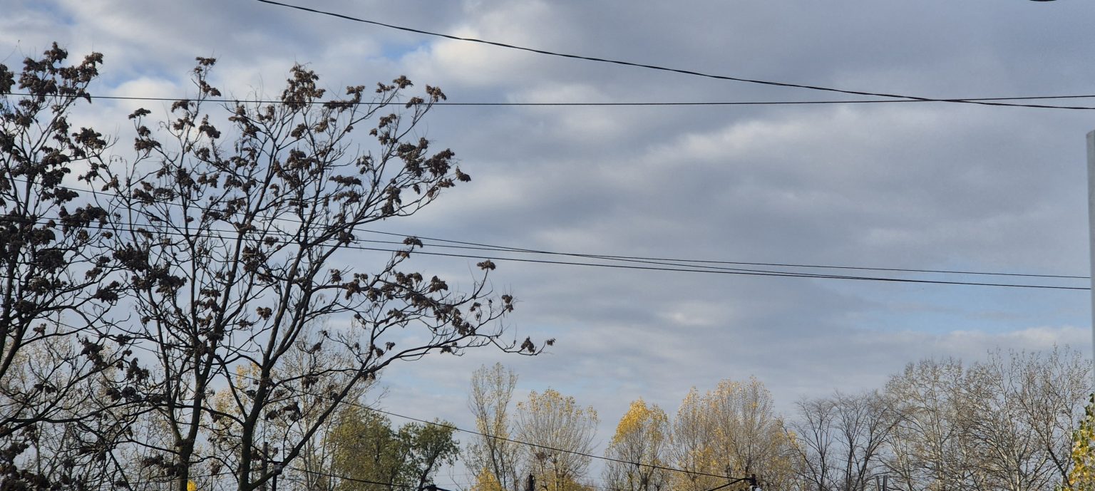 Mare atenție, vreme rece și instabilă în Dâmbovița