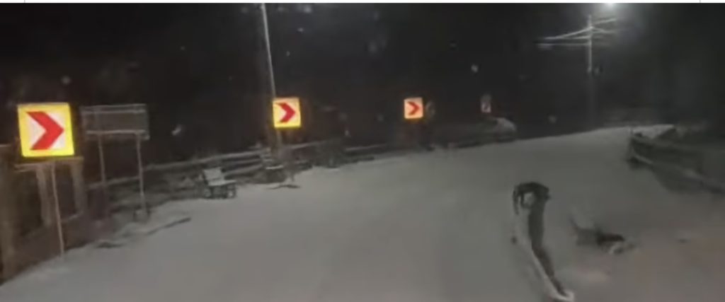 Ninsori și drumuri umede,  echipele DRDP acționează pentru siguranța șoferilor 