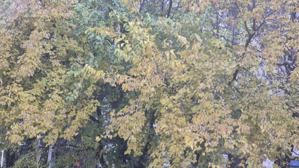 Ploi sporadice și temperaturi scăzute astăzi în județul Dâmbovița Ploi sporadice și temperaturi scăzute astăzi în județul Dâmbovița