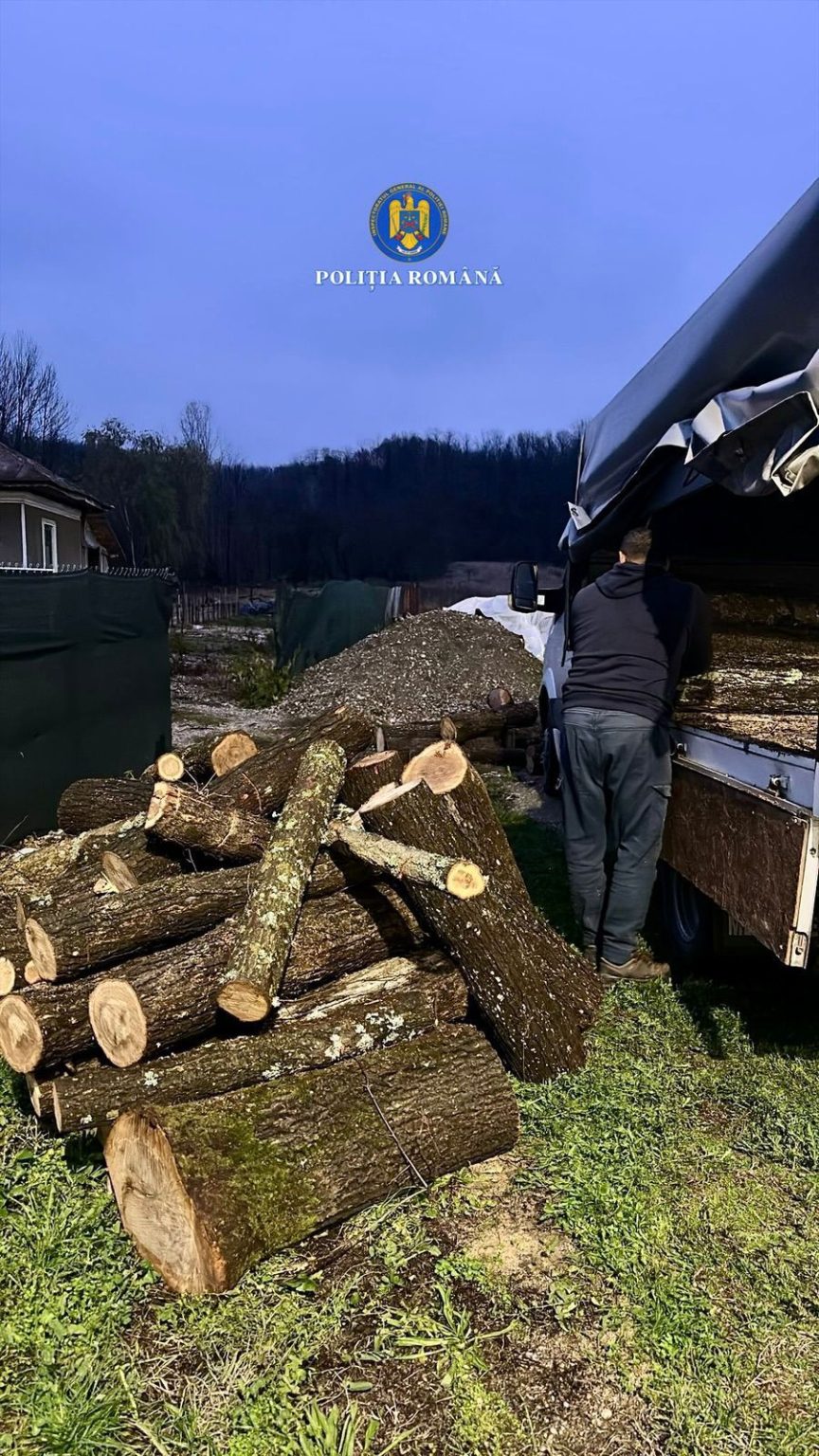 Polițiștii din Dâmbovița au depistat un transport ilegal de material lemnos