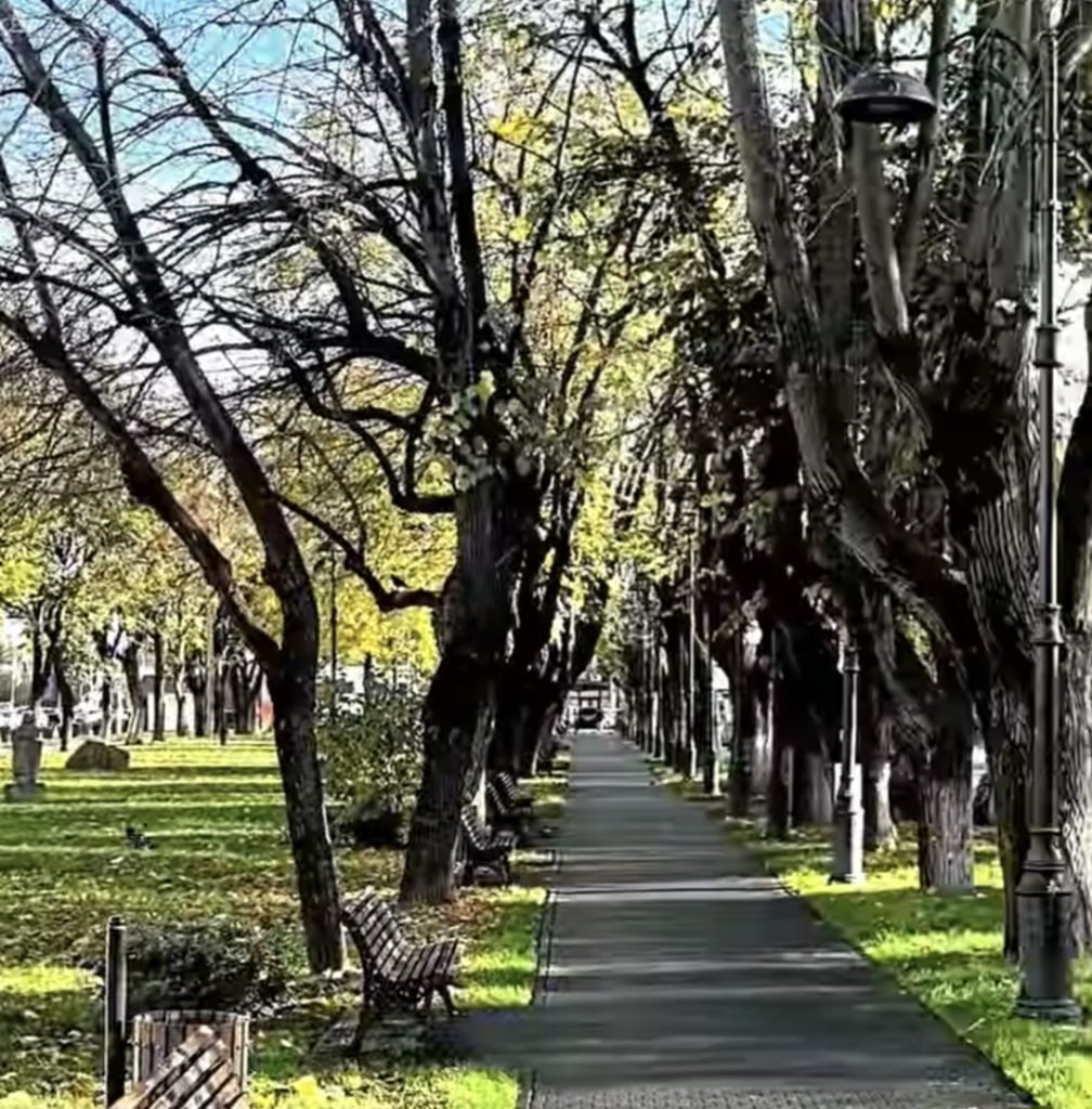 Târgoviște: Administrația locală continuă lucrările de întreținere a spațiilor verzi, chiar și în sezonul de toamnă