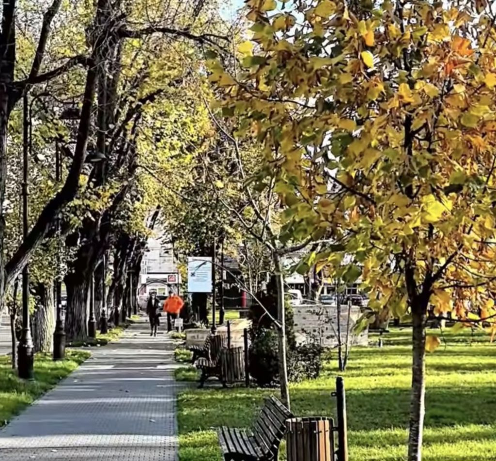 Târgoviște: Administrația locală continuă lucrările de întreținere a spațiilor verzi, chiar și în sezonul de toamnă